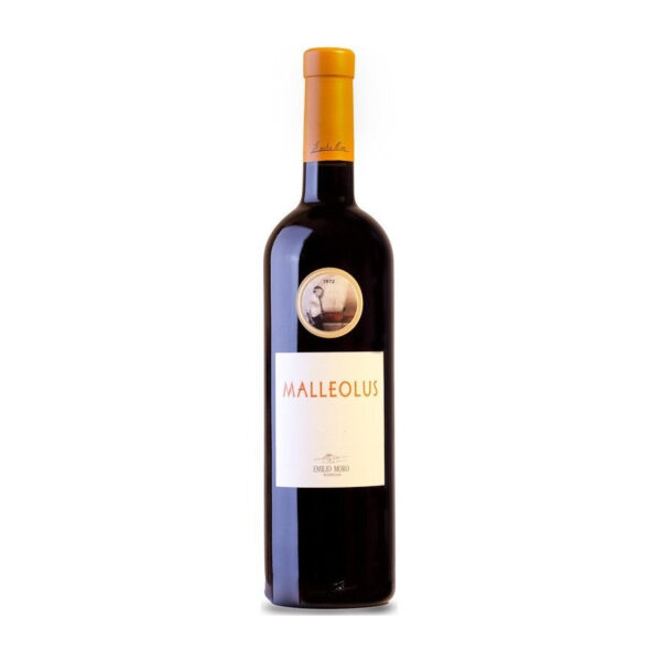 Malleolus